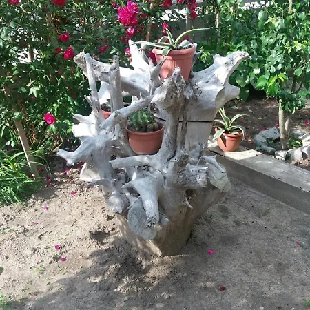 Hera Pensión 4*